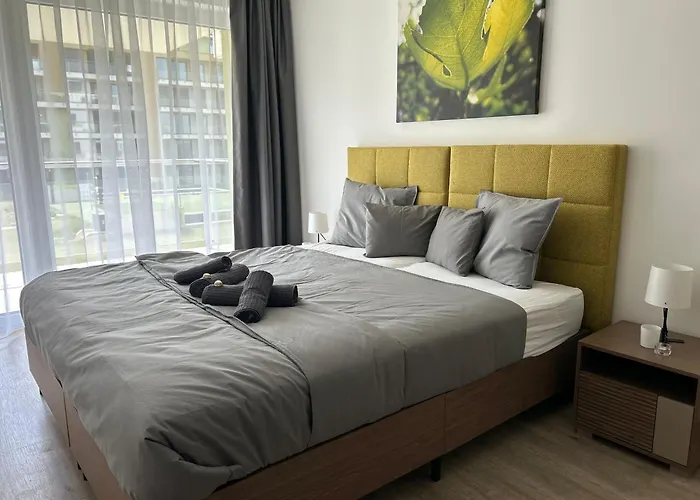 Dingi 103 דירה שיופוק